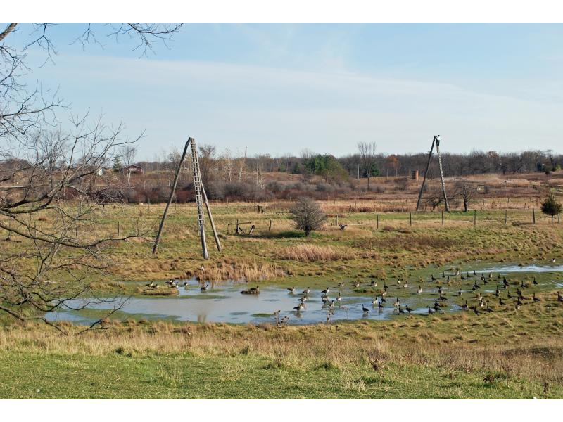Two three-pole derricks beside a creek. There are Canadian geese in the water of the creek. There are trees in the background.