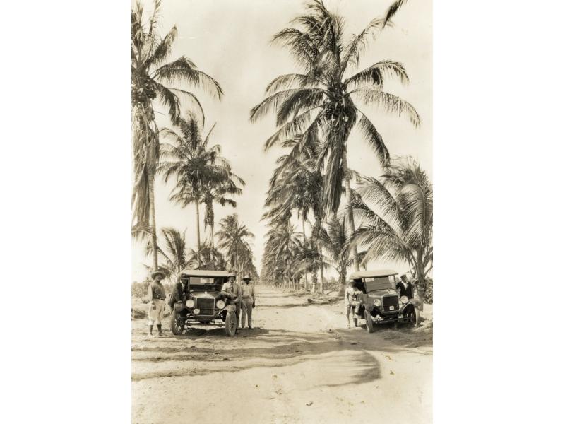 Two old-looking cars with people standing around them, parked on both sides of a dirt road lined with palm trees.